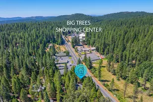 1971 Hwy 4, Arnold, CA 95223 - Photo 51