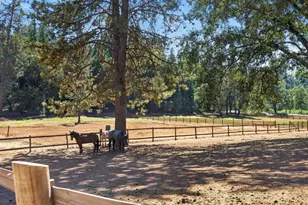 7560 State Hwy 193, Georgetown, CA 95634 - Photo 1
