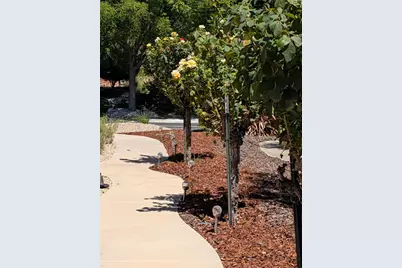 217 Rock Ridge Lane, Copperopolis, CA 95228 - Photo 49