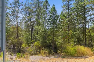 90 Edelweiss Ln, Applegate, CA 95703 - Photo 73