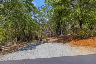 90 Edelweiss Ln, Applegate, CA 95703 - Photo 79