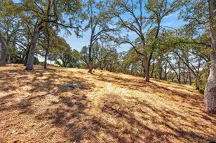 Park St, Auburn, CA 95603 - Photo 91