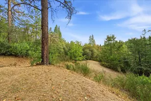 12742 Rices Crossing, Oregon House, CA 95962 - Photo 31