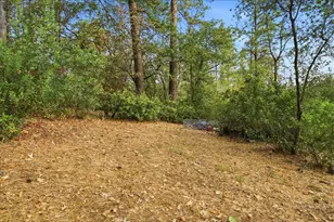 12742 Rices Crossing, Oregon House, CA 95962 - Photo 29