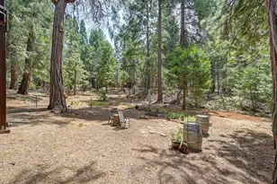 23750 Fiddletown Rd, Volcano, CA 95689 - Photo 59