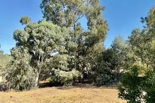 4525 Olive Hwy, Oroville, CA 95966 - Photo 29