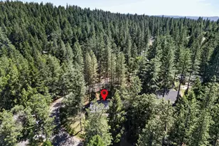 5621 Daisy Circle, Pollock Pines, CA 95726 - Photo 41