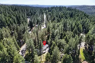 5621 Daisy Circle, Pollock Pines, CA 95726 - Photo 59