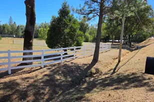 8746 Marysville Rd, Oregon House, CA 95962 - Photo 5