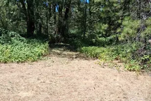 8746 Marysville Rd, Oregon House, CA 95962 - Photo 29