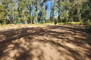 8746 Marysville Rd, Oregon House, CA 95962 - Photo 31