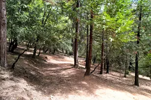 19314 Ponderosa Dr, Pioneer, CA 95666 - Photo 9