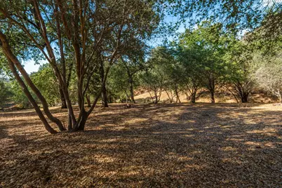 1580 High Street, Auburn, CA 95603 - Photo 67