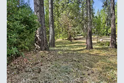 10423 Park Avenue, Nevada City, CA 95959 - Photo 9