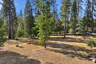 10423 Park Ave, Nevada City, CA 95959 - Photo 1