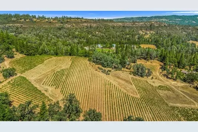 4180 Pleasant Valley Road, Placerville, CA 95667 - Photo 57