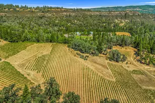 4180 Pleasant Valley Rd, Placerville, CA 95667 - Photo 57