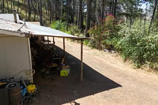11605 Miller Peak Rd, Oroville, CA 95965 - Photo 39