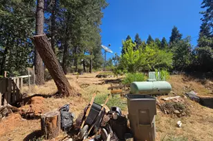 11605 Miller Peak Rd, Oroville, CA 95965 - Photo 23