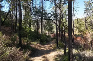 11605 Miller Peak Rd, Oroville, CA 95965 - Photo 21