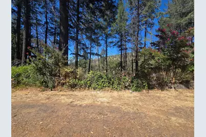 11605 Miller Peak Road, Oroville, CA 95965 - Photo 3