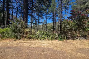 11605 Miller Peak Rd, Oroville, CA 95965 - Photo 3