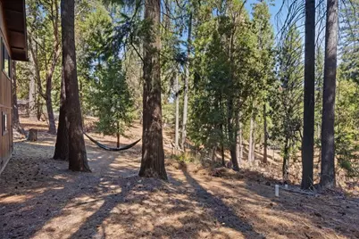 25321 Sugar Pine Drive, Pioneer, CA 95666 - Photo 35