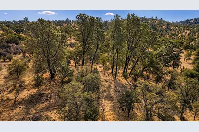 3759 Stoney Oak Road, Coulterville, CA 95311 - Photo 13