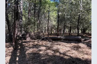 19470 Creek Drive, Pioneer, CA 95666 - Photo 13