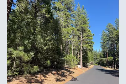 19470 Creek Drive, Pioneer, CA 95666 - Photo 5