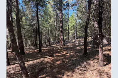 19470 Creek Drive, Pioneer, CA 95666 - Photo 17