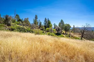 8440 Michigan Bluff Rd, Foresthill, CA 95631 - Photo 49