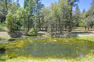 4460 Nishinam Trail, Garden Valley, CA 95633 - Photo 87