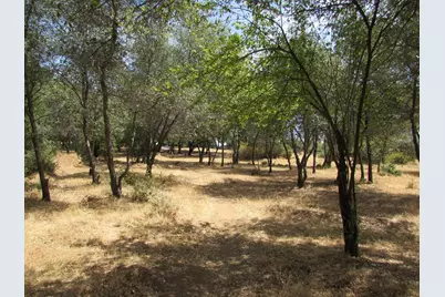 13100 Pleasant Vista Lane, Auburn, CA 95603 - Photo 7