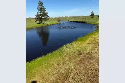 1455 Duck Creek Road, Ione, CA 95640 - Photo 75