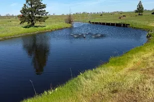 1455 Duck Creek Rd, Ione, CA 95640 - Photo 75