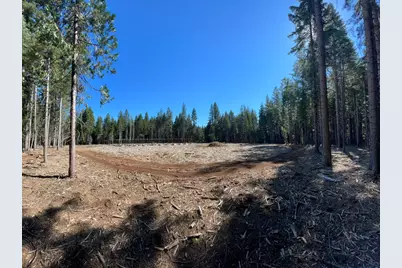 15379 Robbins Ranch Road, Nevada City, CA 95959 - Photo 3