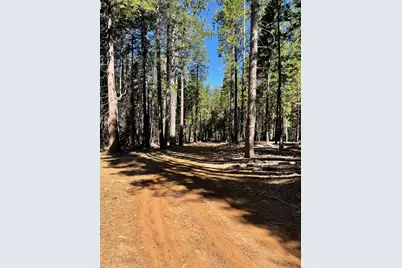 15379 Robbins Ranch Road, Nevada City, CA 95959 - Photo 11