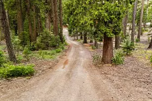 10305 Laurentian Way, Nevada City, CA 95959 - Photo 35