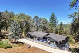 2831 Derrick Dr, Greenwood, CA 95635 - Photo 3