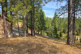 4180 Pleasant Valley Rd, Placerville, CA 95667 - Photo 59