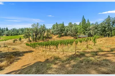 4180 Pleasant Valley Road, Placerville, CA 95667 - Photo 43