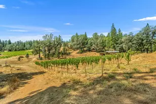 4180 Pleasant Valley Rd, Placerville, CA 95667 - Photo 43