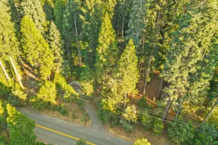 3533 Gold Ridge Trail, Pollock Pines, CA 95726 - Photo 35