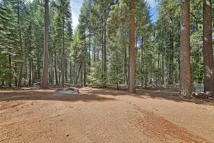 2280 Dogwood Ln, Pollock Pines, CA 95726 - Photo 41