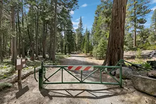44 Gerle Creek Tract, Pollock Pines, CA 95726 - Photo 3