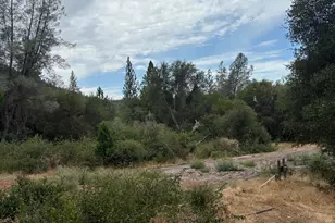 16079 Vierra Rd, Browns Valley, CA 95914 - Photo 1