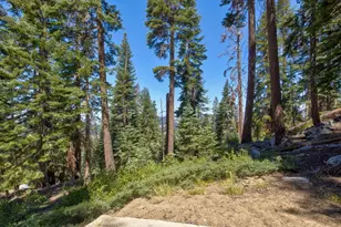 65745 Big Meadows Rd, Other, CA 93633 - Photo 33