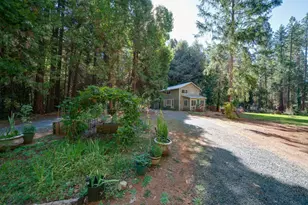 18249 Challenge Cutoff Rd, Forbestown, CA 95941 - Photo 3