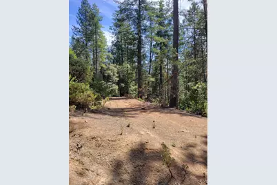 2678 Christmas Tree Lane, Georgetown, CA 95634 - Photo 19